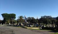 Cypress Hill Memorial Park image 10